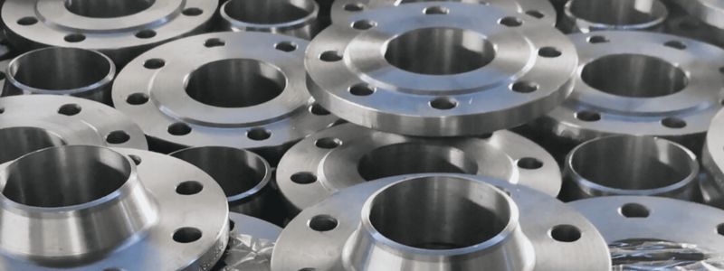 Flushing Ring Flanges Supplier in Dubai